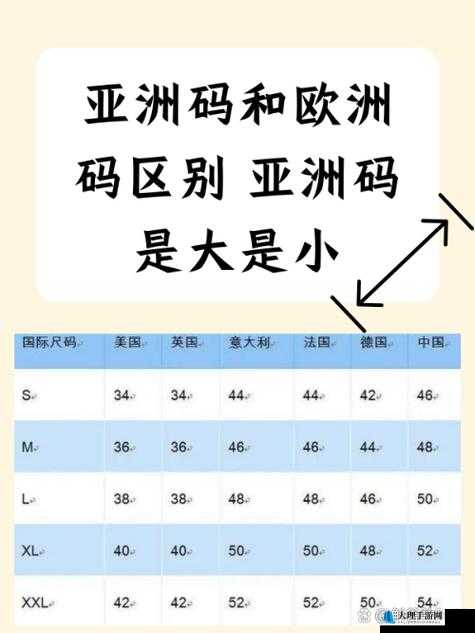 亚洲尺码与欧洲尺码区别究竟在哪里以及对人们选择的影响